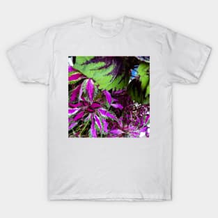 Colorful Plant Leaves T-Shirt